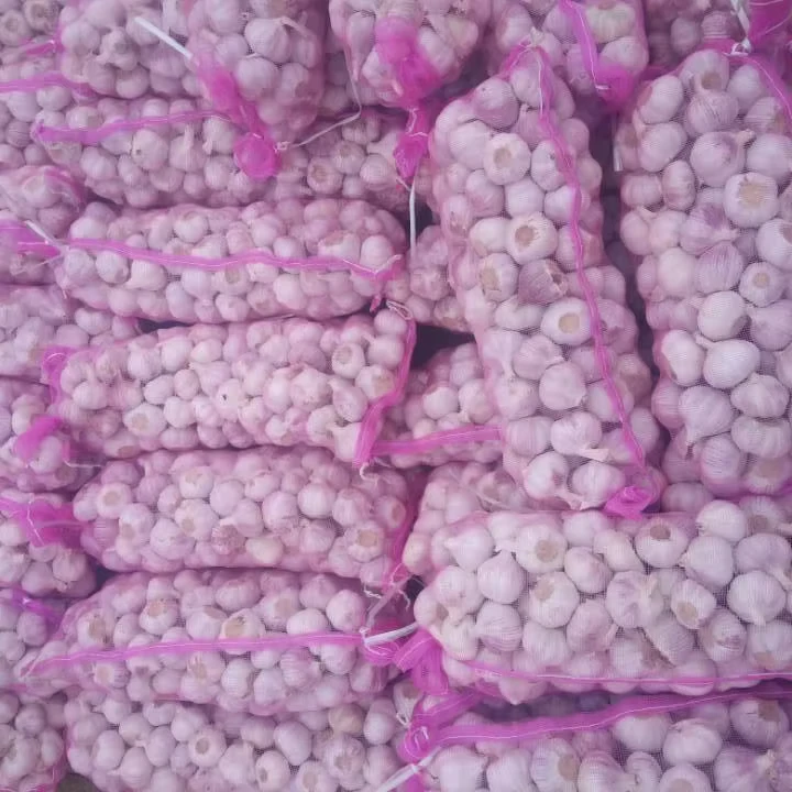 Tianz-10kg-Mesh-Bag-for-Fresh-Garlic