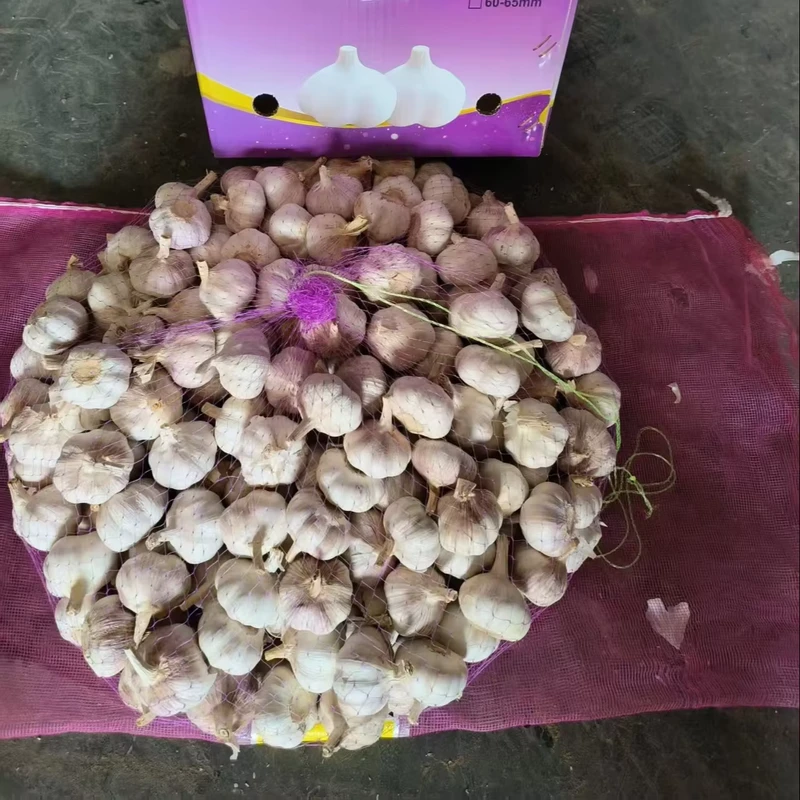 Tianz-China-New-Crop-Garlic-38-48mm-Washed-Clean-No-Chemical-Residue-10kg-Carton