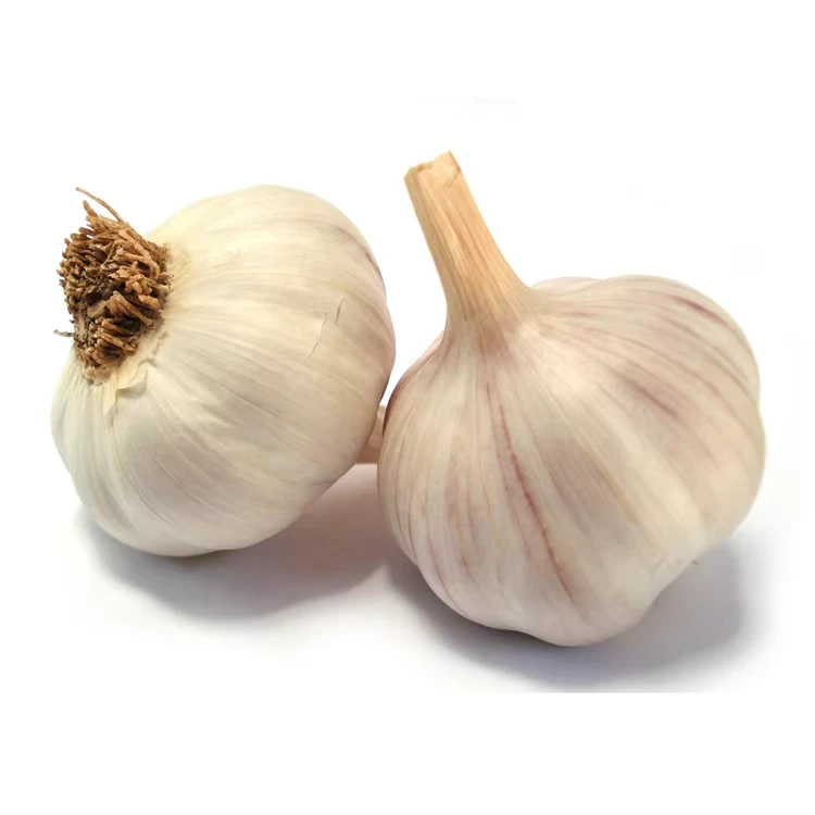 Tianz-Chinese-Fresh-Normal-and-Pure-White-Fresh-Garlic-High-quality