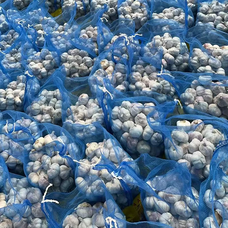Tianz-Fresh-Garlic-42-50mm-Vacuum-Pack-5kg-10kg-No-Sprout-Long-Storage-for-Canada-Europe