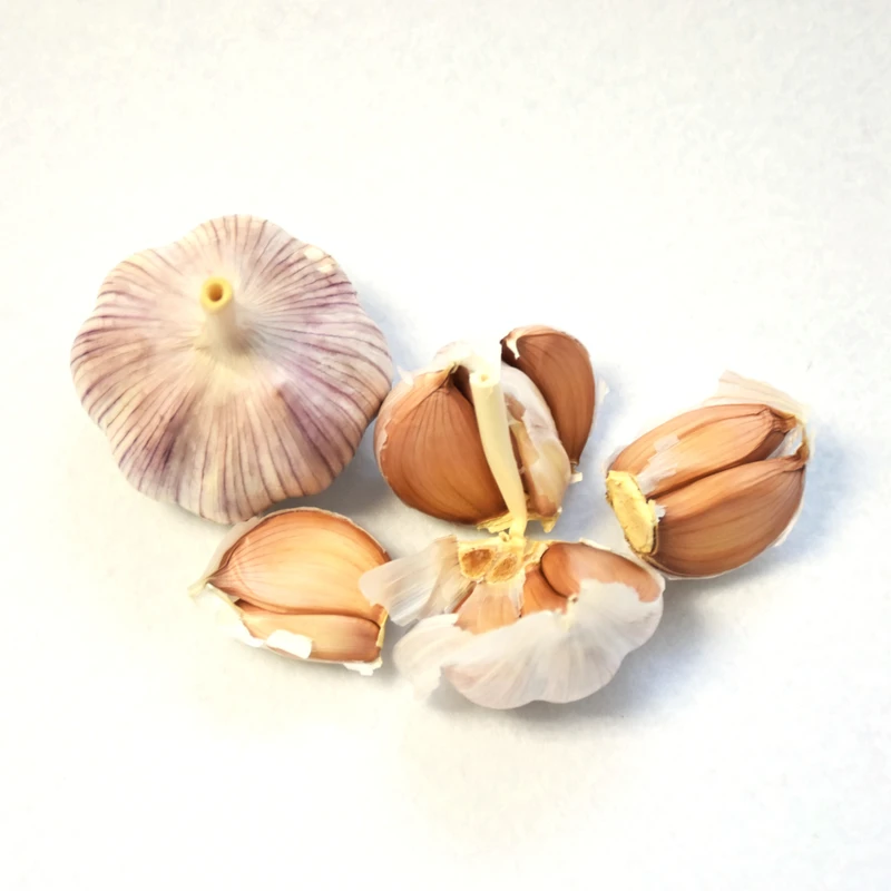 Tianz-Fresh-Garlic-Red-Garlic-3.5-4.0cm-10Kg-Mesh-Bag-Chinese-Garlic