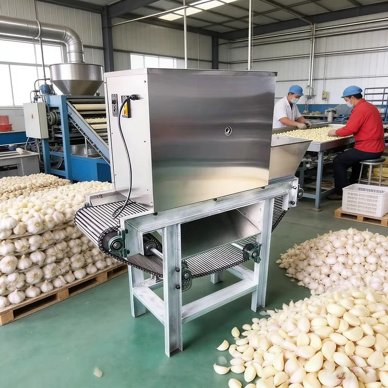 Tianz-Garlic-Peeler-Machine-Automatic-High-Efficiency-Garlic-Skin-Remover-for-Commercial-Use