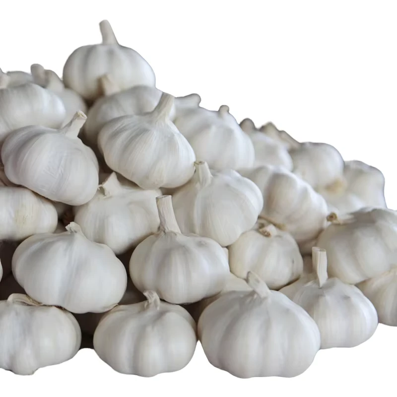 Tianz-New-Crop-Fresh-Garlic-Sent-To-Panama-10LBS-Package